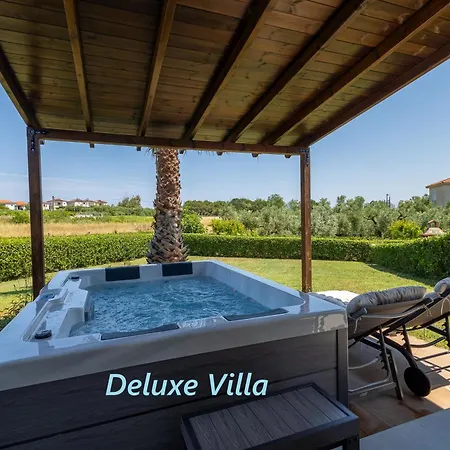 Luxury Villa Afytos