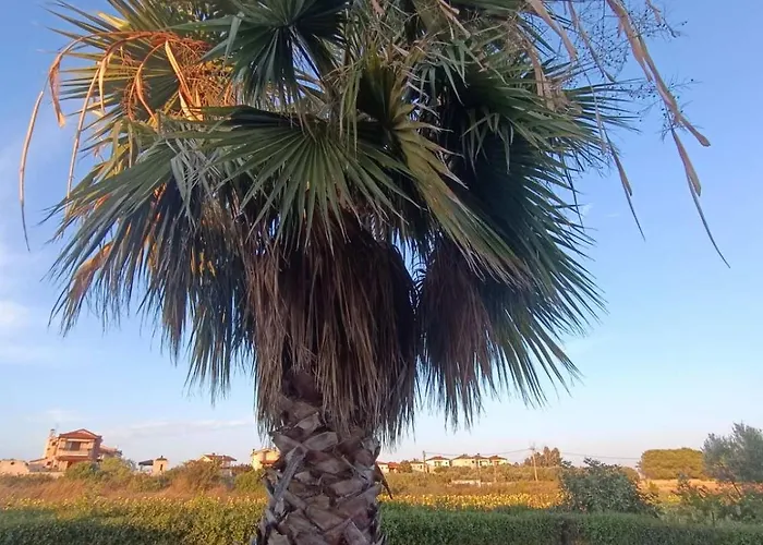 Luxury 别墅 阿菲托斯