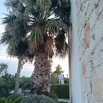 Luxury 别墅 *